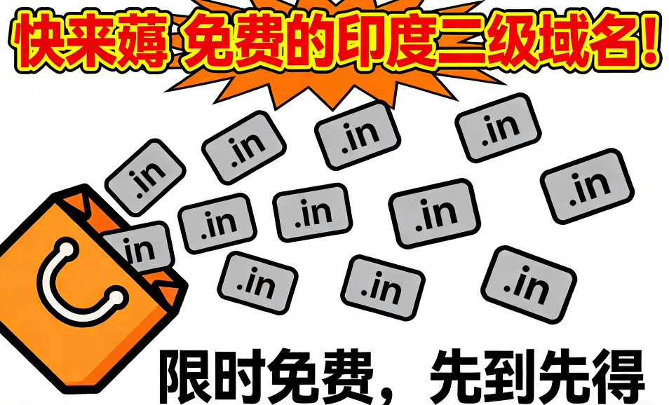 快来薅 免费的印度二级域名！-鹤北的小破站